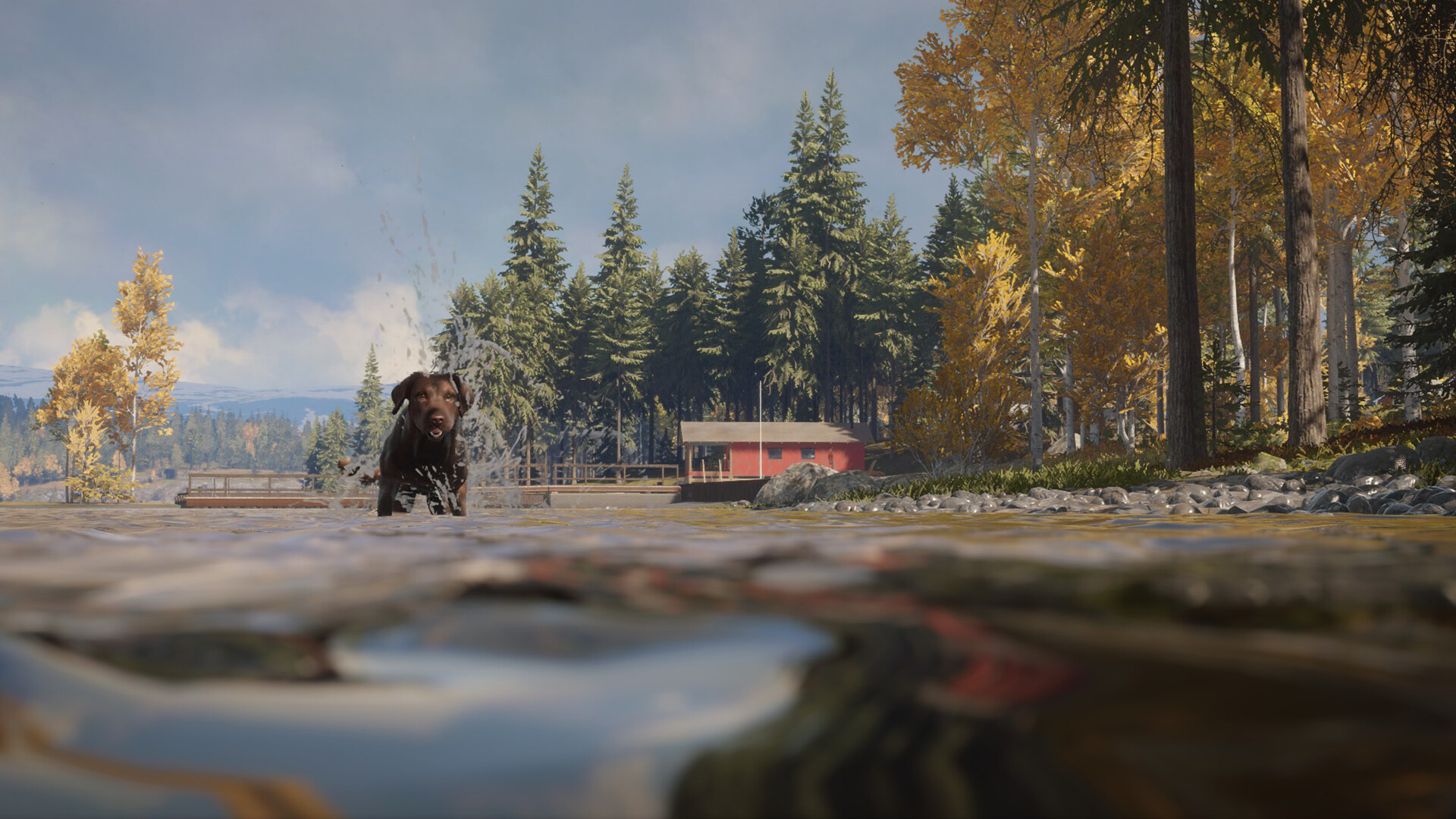 theHunter: Call of the Wild™ - Labrador Retriever Screenshot 0