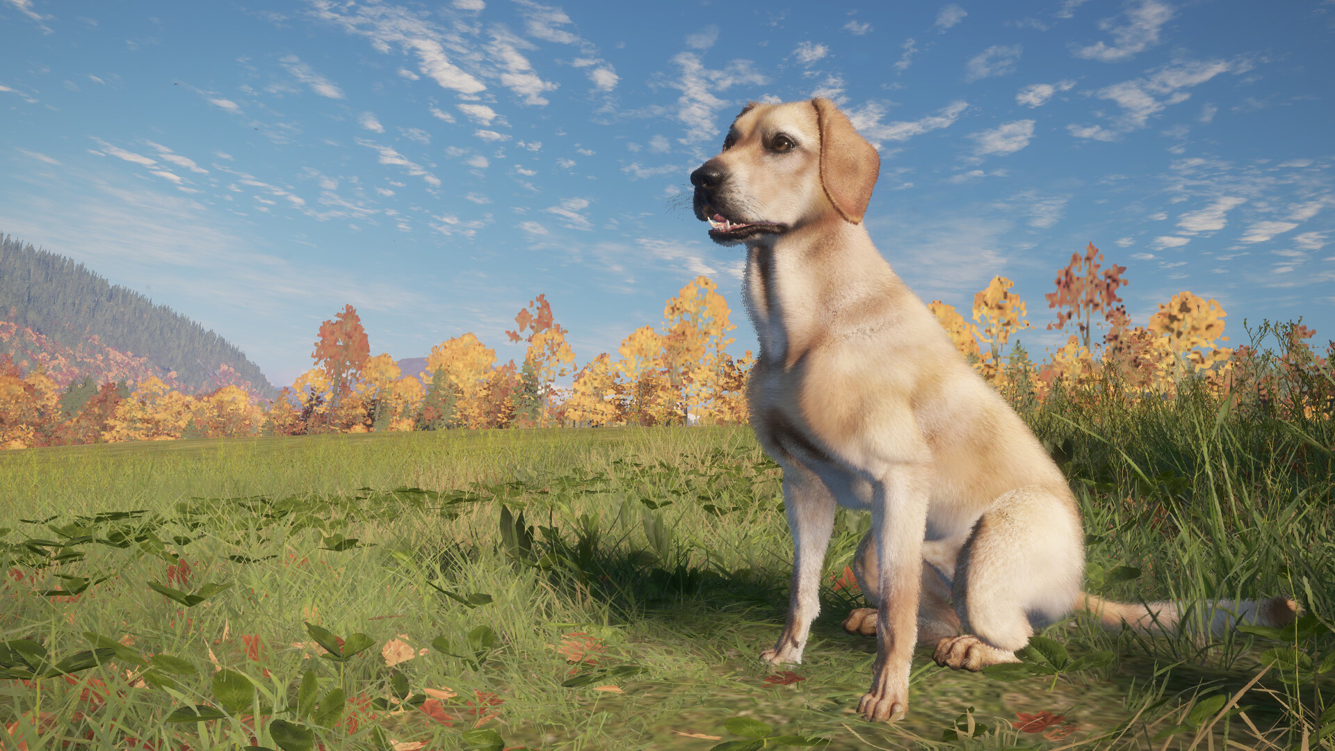 theHunter: Call of the Wild™ - Labrador Retriever Screenshot 1