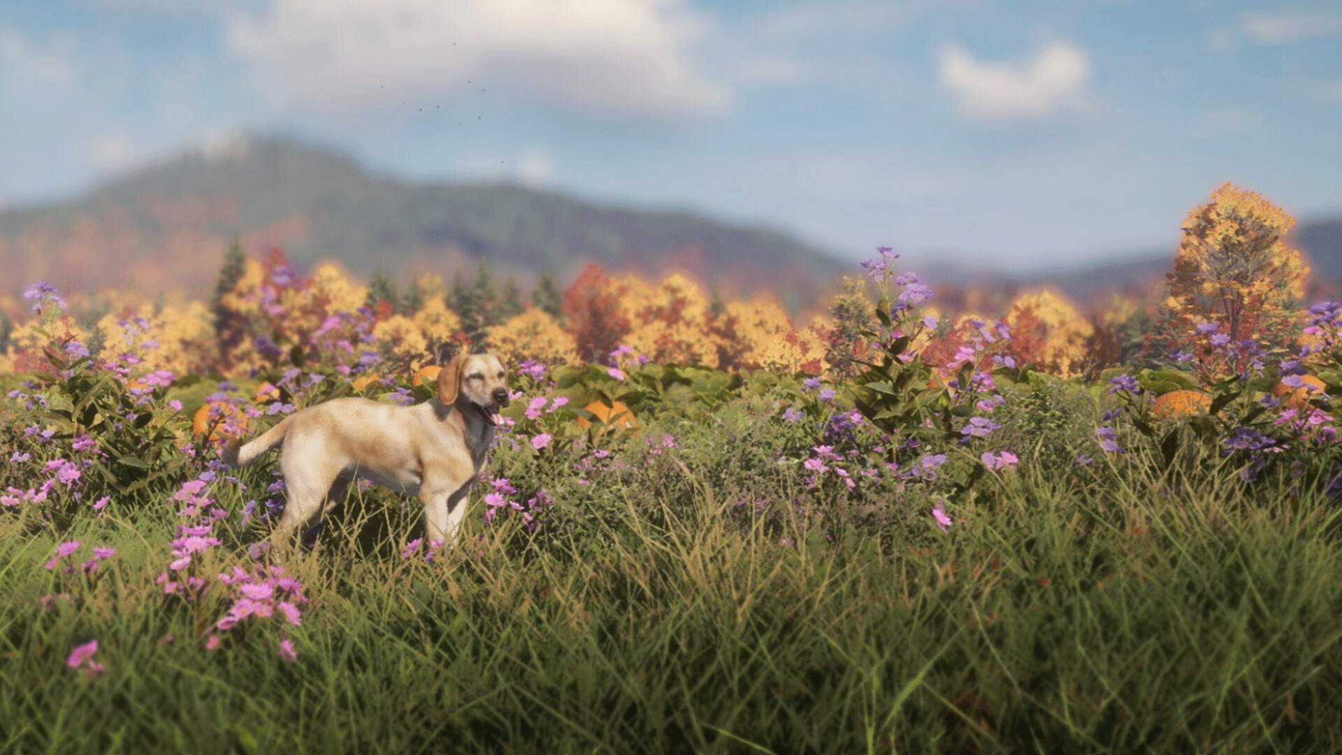 theHunter: Call of the Wild™ - Labrador Retriever Screenshot 5