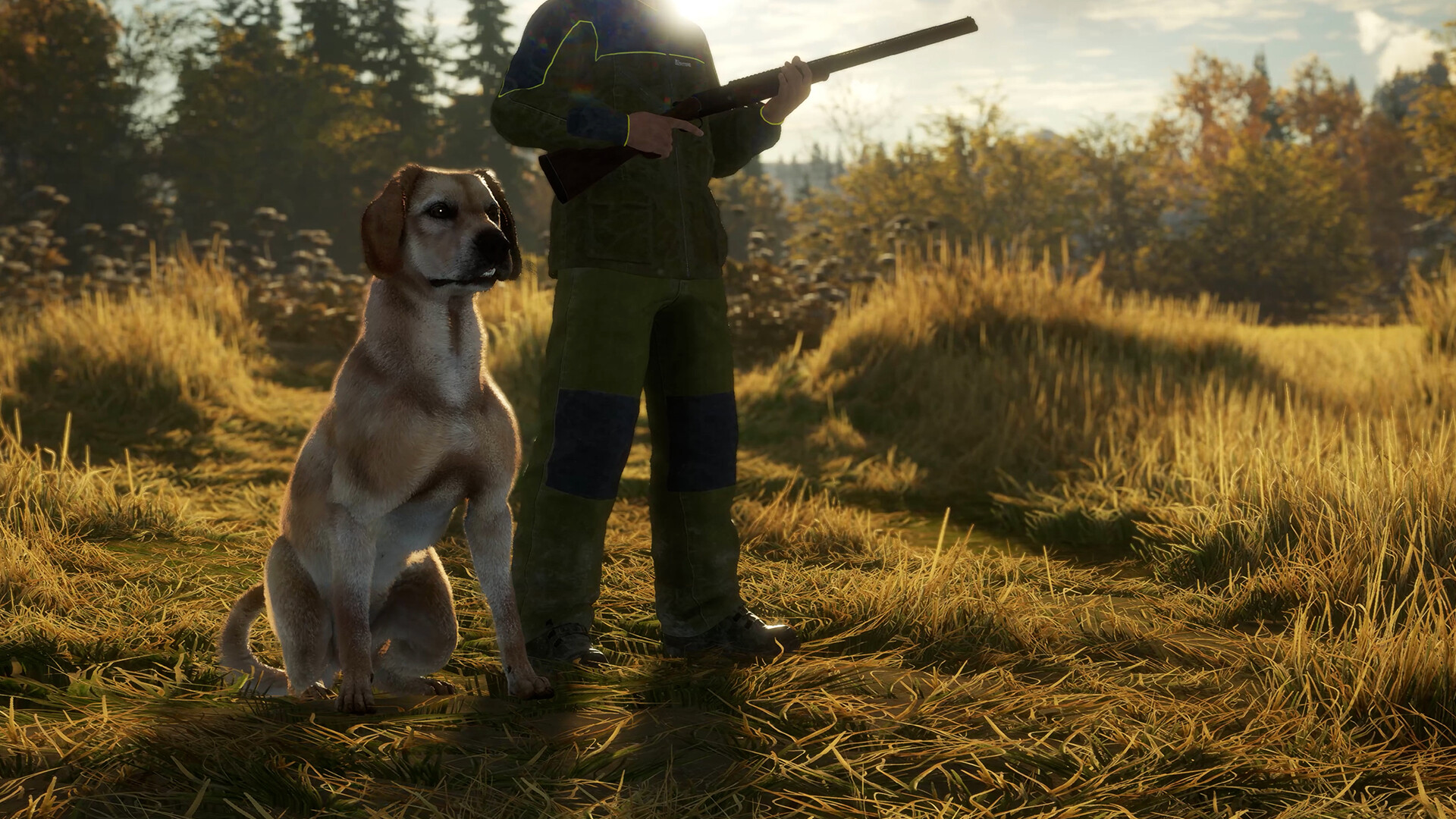 theHunter: Call of the Wild™ - Labrador Retriever Screenshot 3