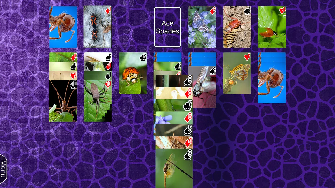 Wyvern Studios Solitaire: 30th Aniversary Edition Screenshot 2