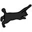 Nova icon