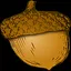 Acorn Killer icon