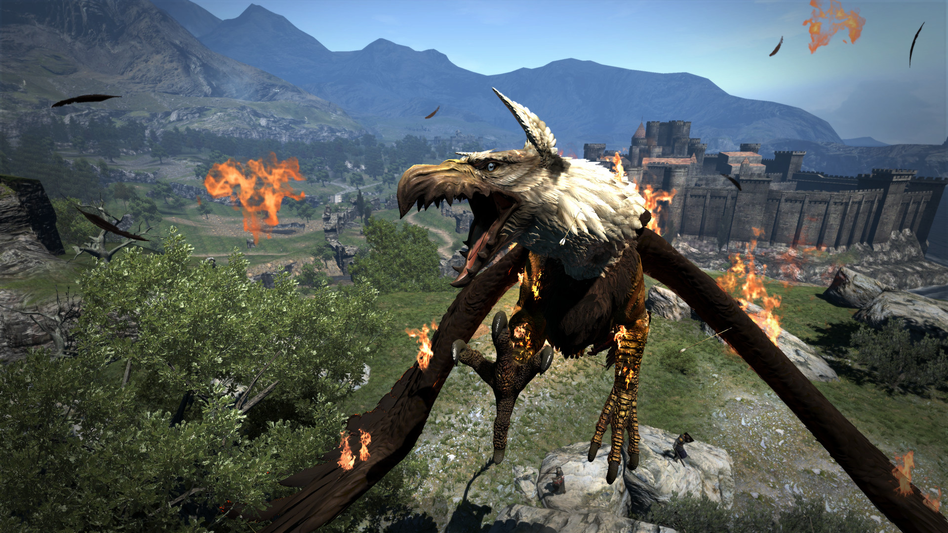 Dragon's Dogma: Dark Arisen Screenshot 8