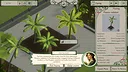 Palm Paradise Garden Demo Screenshot 0