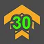Level 30 icon