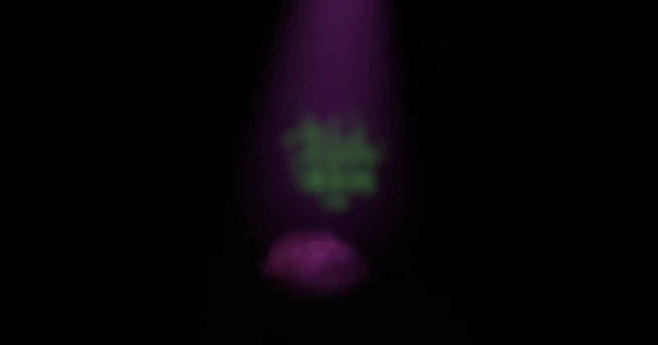 Somnium Tenebris Screenshot 6