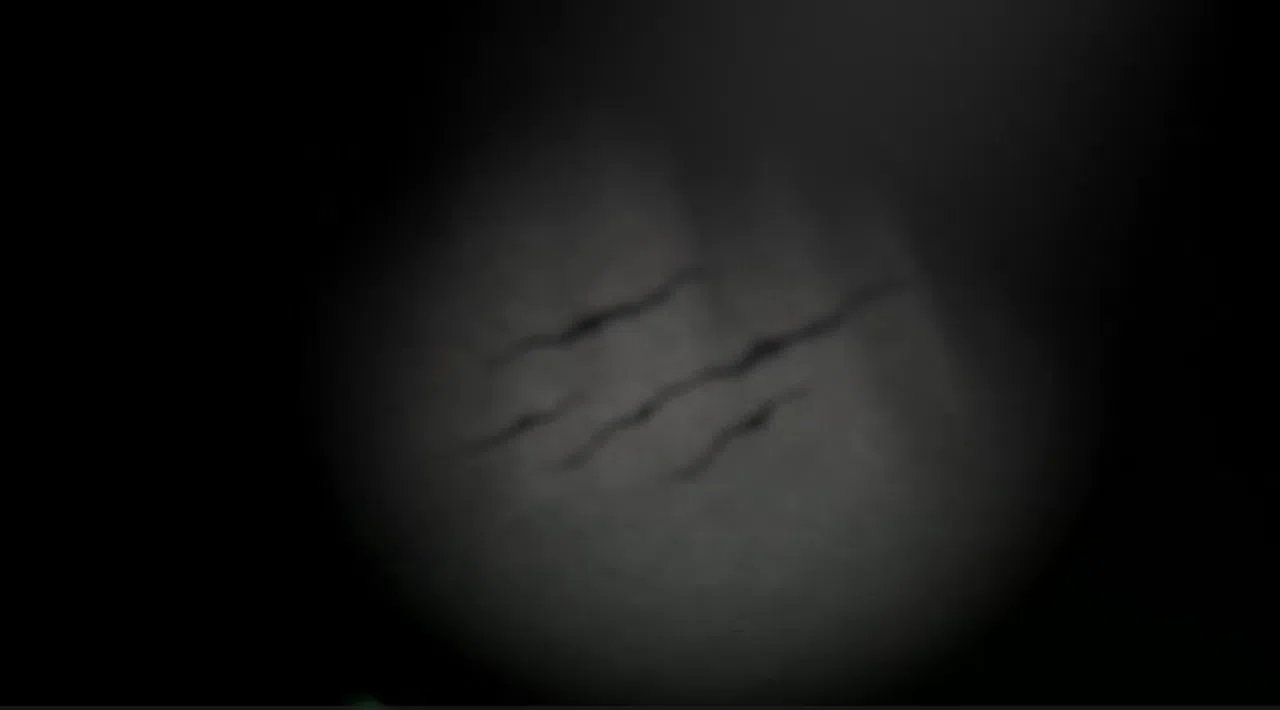 Somnium Tenebris Screenshot 0