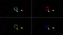 STARDUSTER Screenshot 7