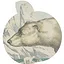 Animal Aficionado icon