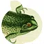 Shallow Water Aficionado icon