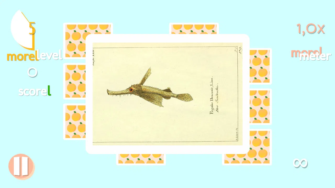 memorel Screenshot 11