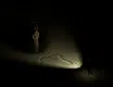 Whispers in the Shadows Screenshot 5