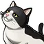 A Grateful Companion icon