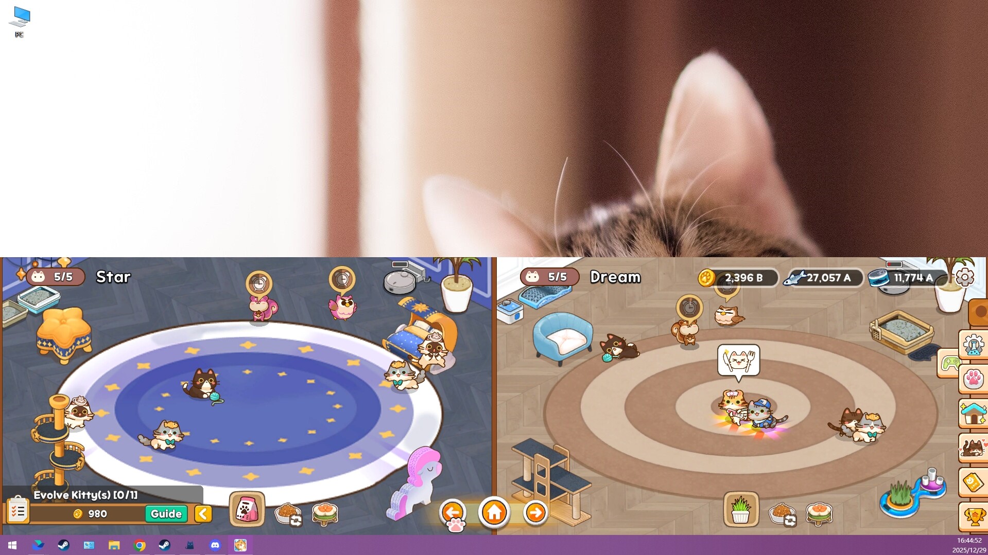 Meowniverse Screenshot 1