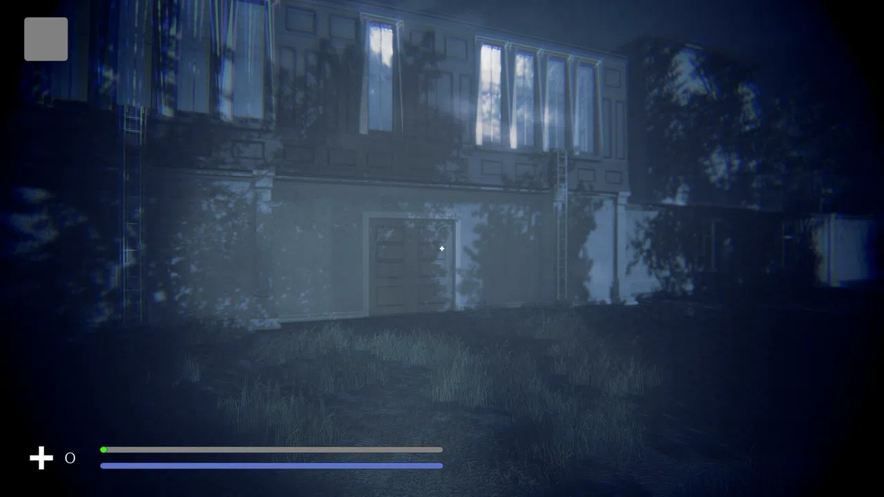 Footage Screenshot 2
