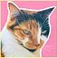 Listen Lily icon