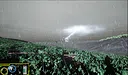 NaturesAscendancy Screenshot 5