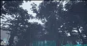 NaturesAscendancy Screenshot 7