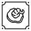 Enchanted Socks icon