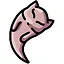 Saem icon