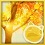 Gold Forever Forests icon