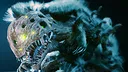Mutation Screenshot 0