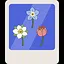 Botanist icon