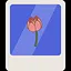 Gardener icon