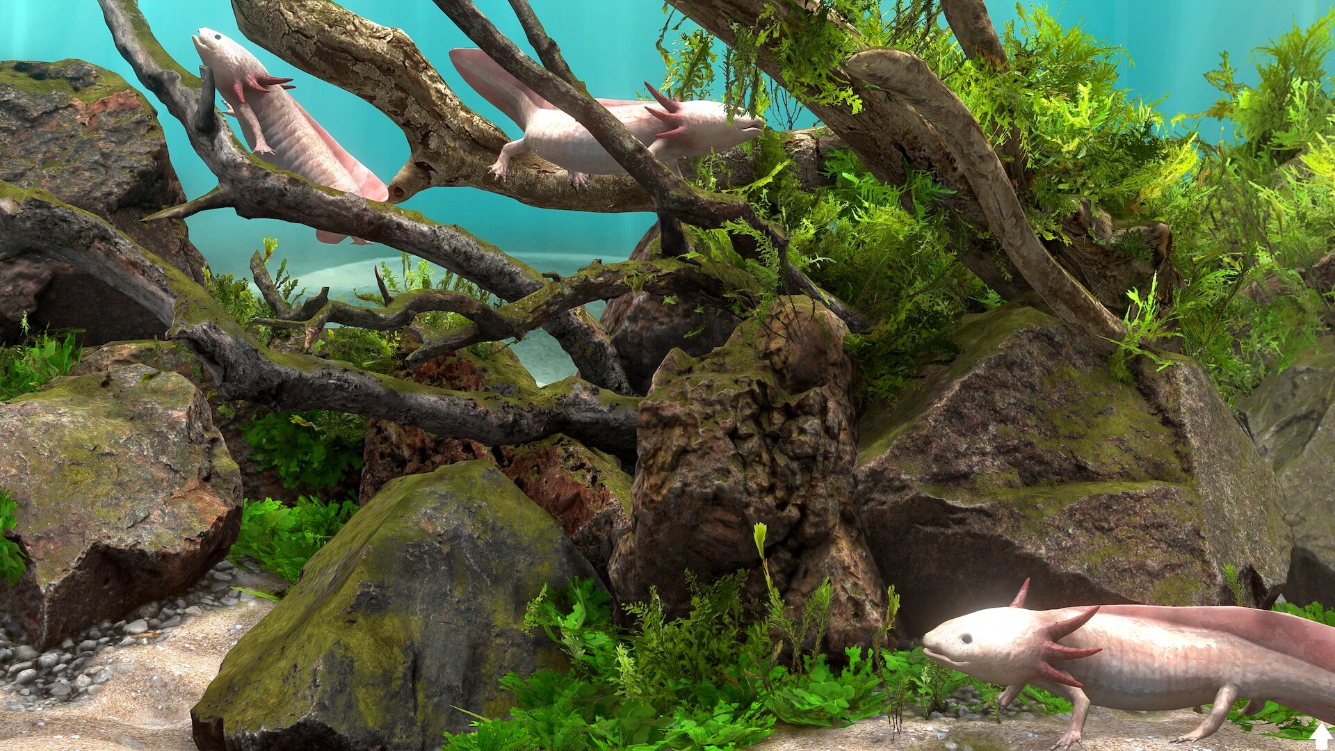 Behind Glass: Aquarium Simulator Screenshot 3