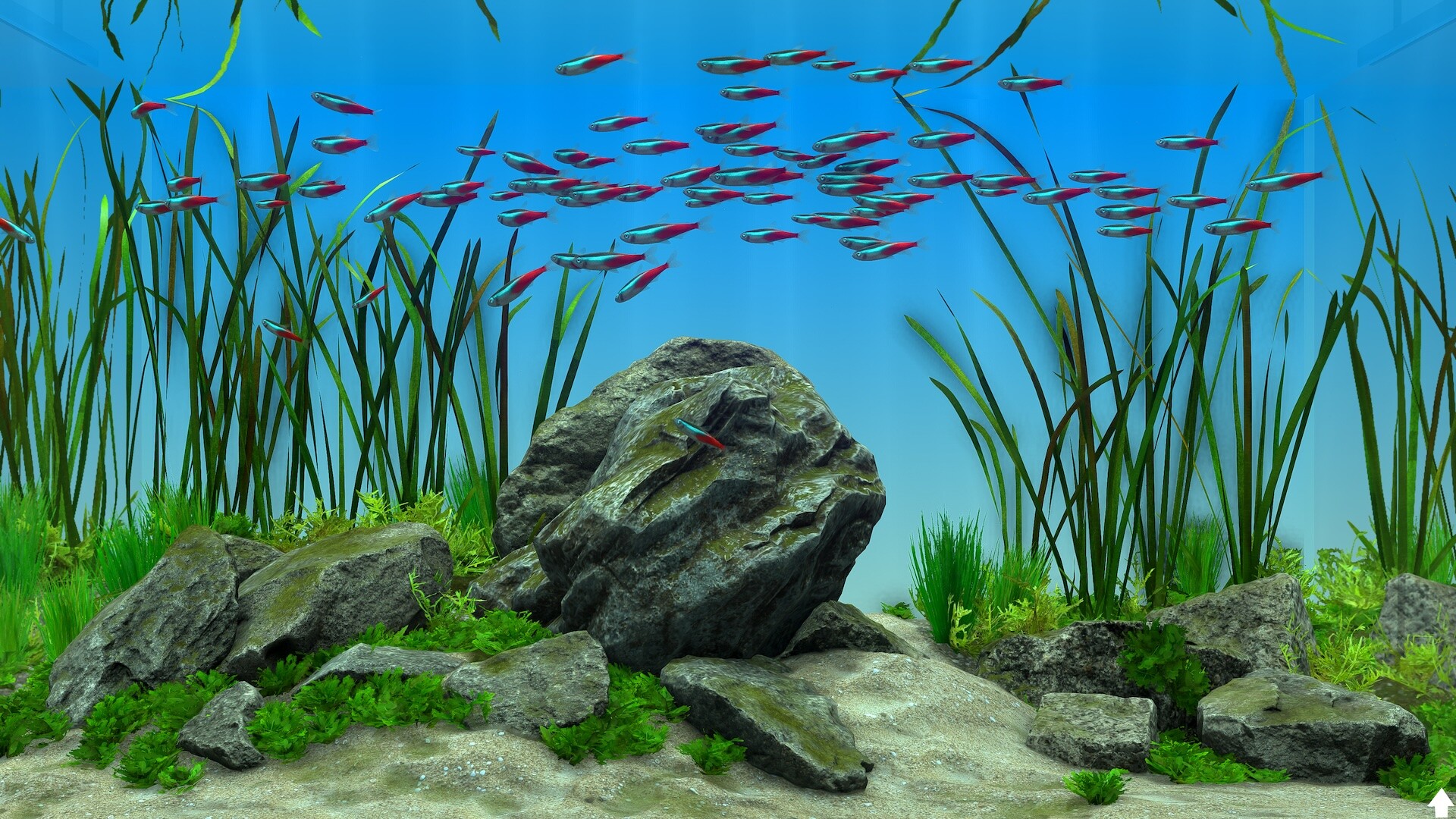Behind Glass: Aquarium Simulator Screenshot 8