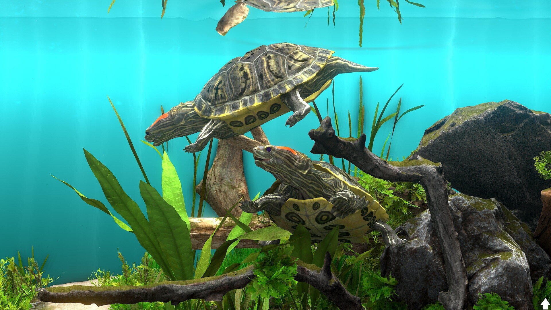 Behind Glass: Aquarium Simulator Screenshot 6