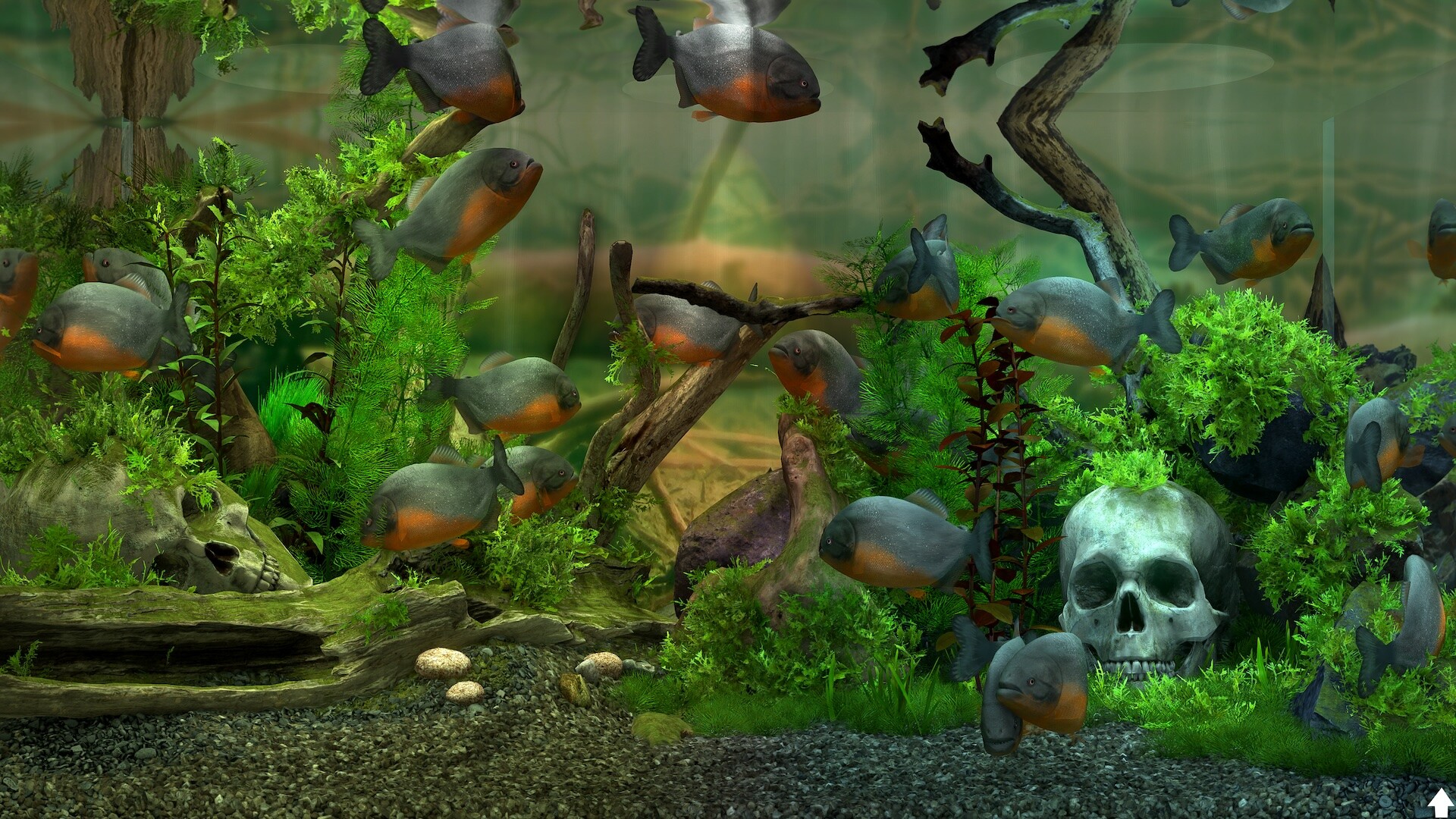 Behind Glass: Aquarium Simulator Screenshot 4