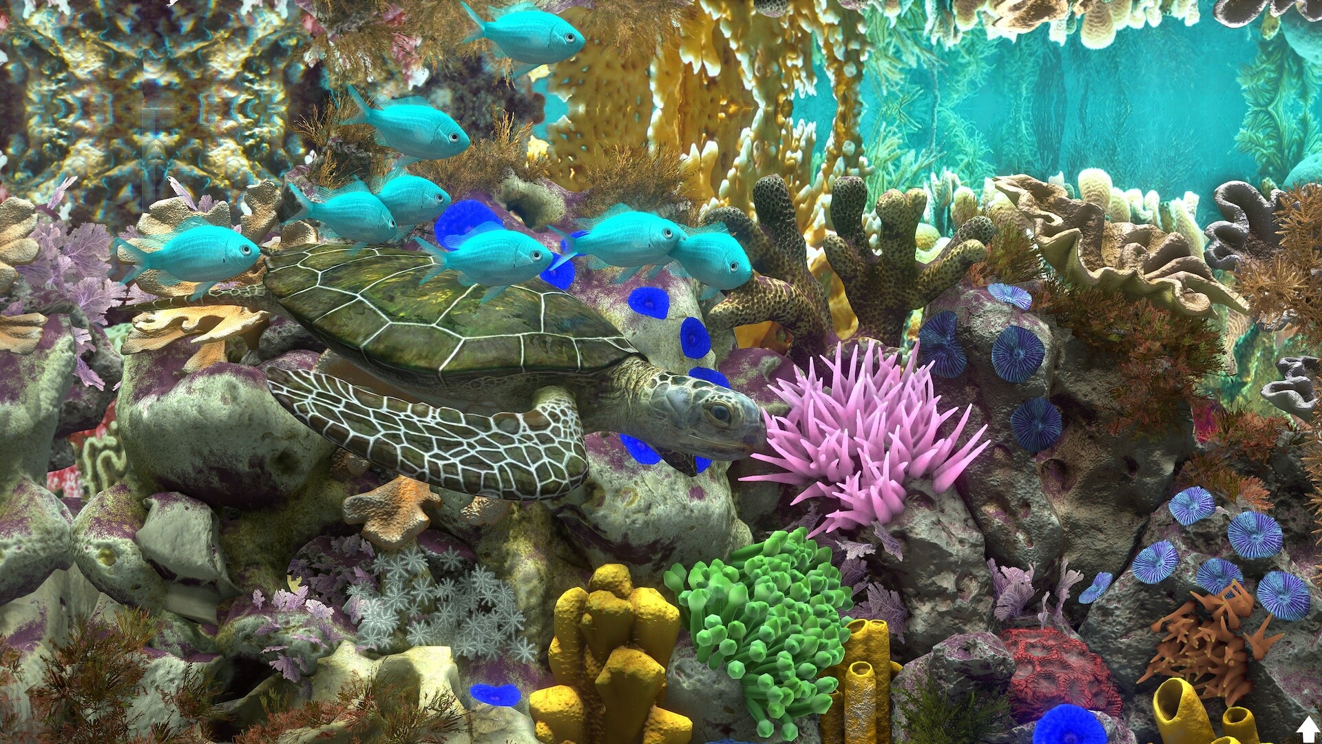 Behind Glass: Aquarium Simulator Screenshot 1