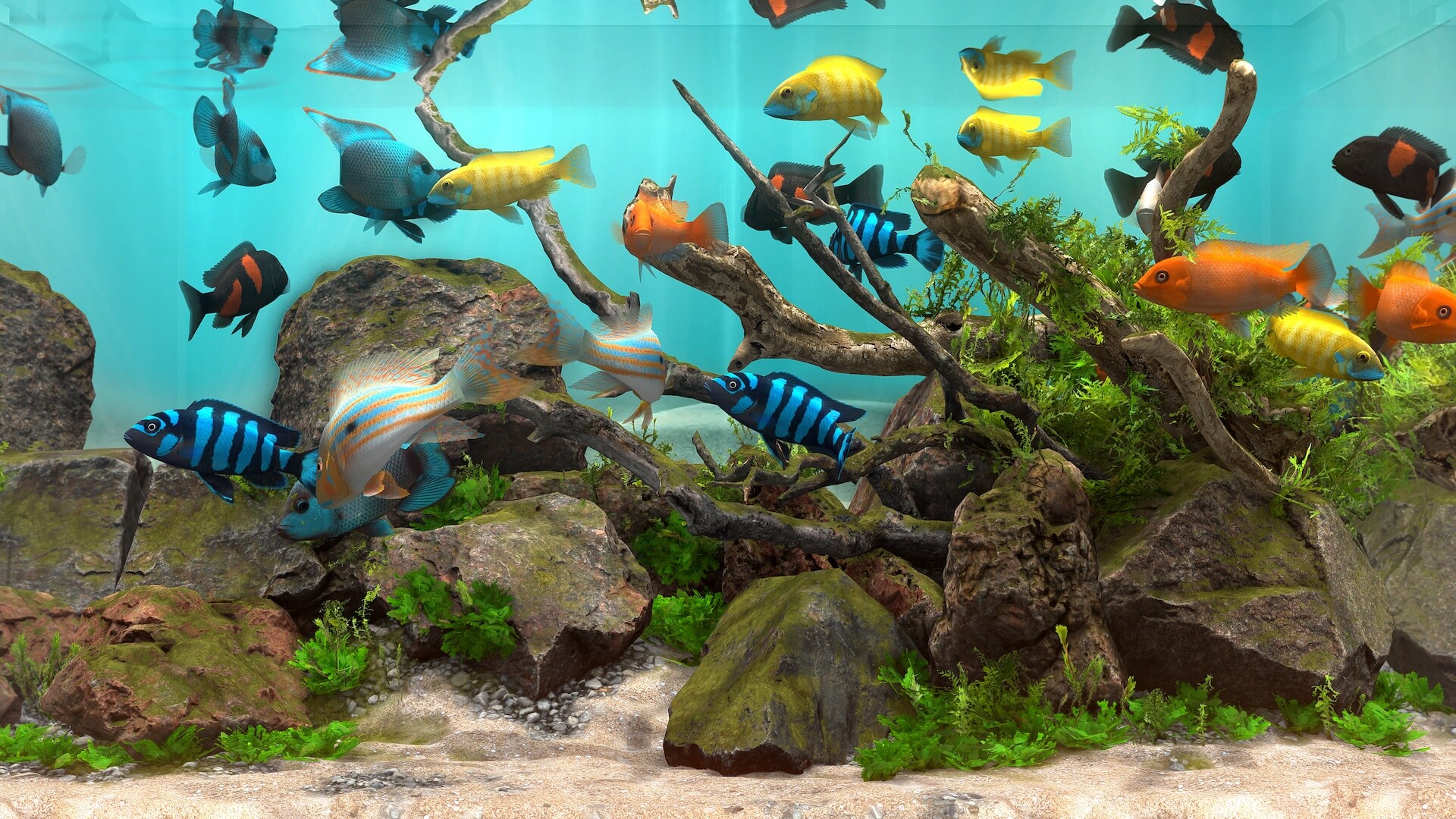 Behind Glass: Aquarium Simulator Screenshot 0