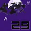 29 icon
