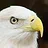 Eagle Eye's