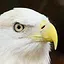Eagle Eye's icon