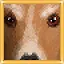 Lassie?! icon