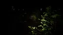 Dr. Gloom’s Lab™ Screenshot 12