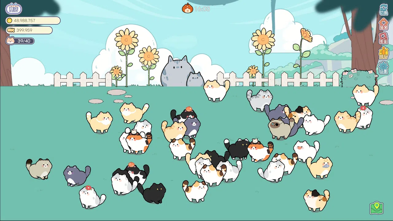 猫语拾光 Cat And Life Screenshot 0
