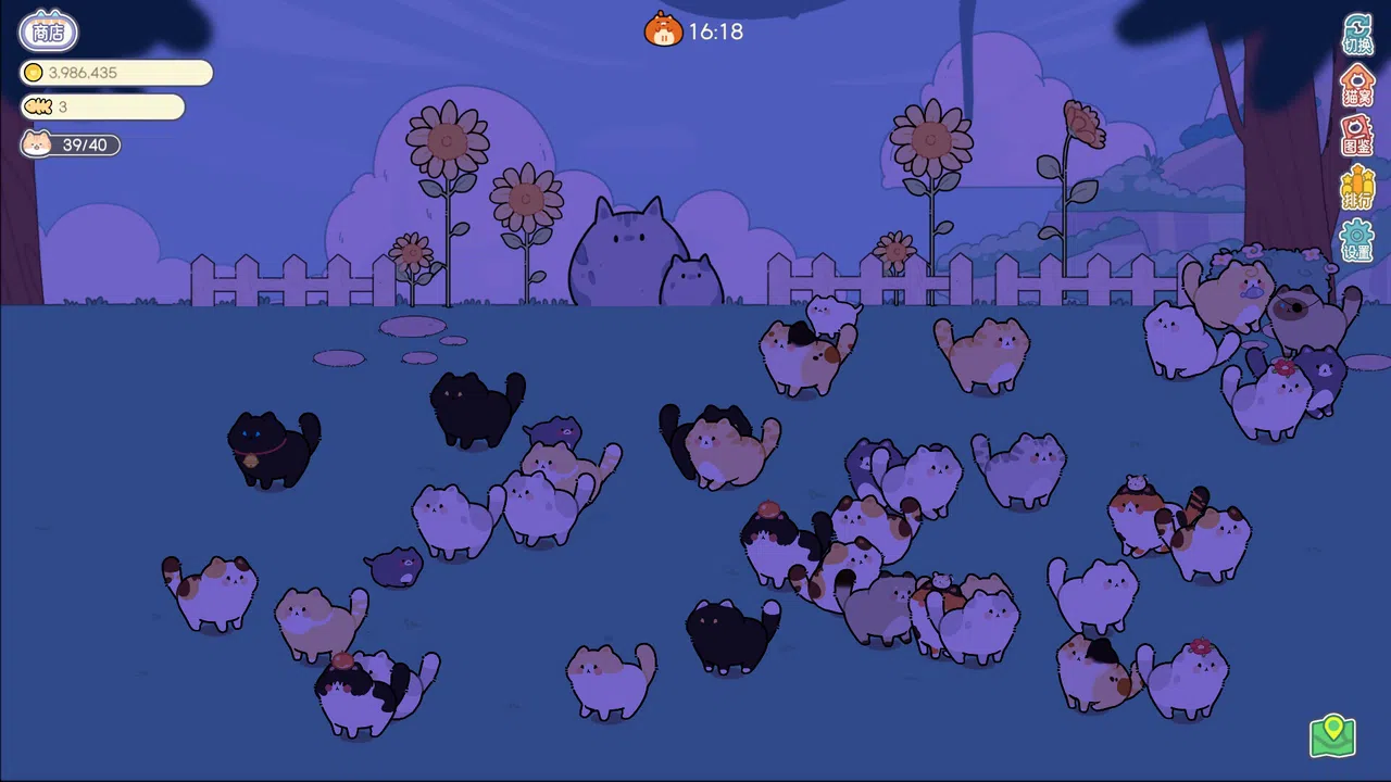 猫语拾光 Cat And Life Screenshot 1