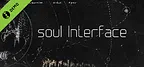 soul Interface Demo