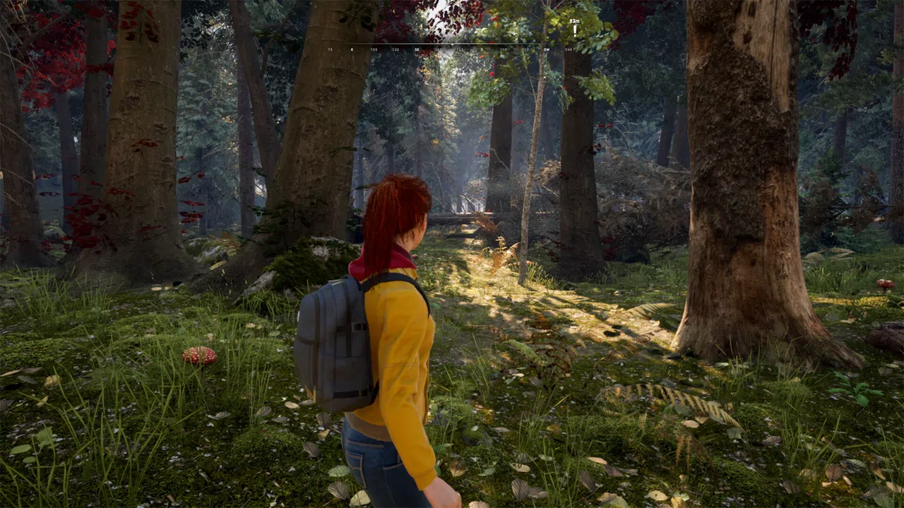 ORIENTIR Demo Screenshot 3