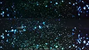 A Lily from the Lightless Water Screenshot 3