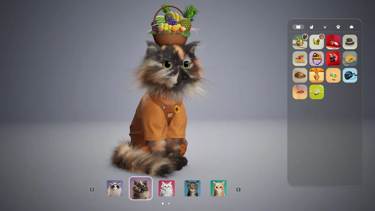 Catly Screenshot 12