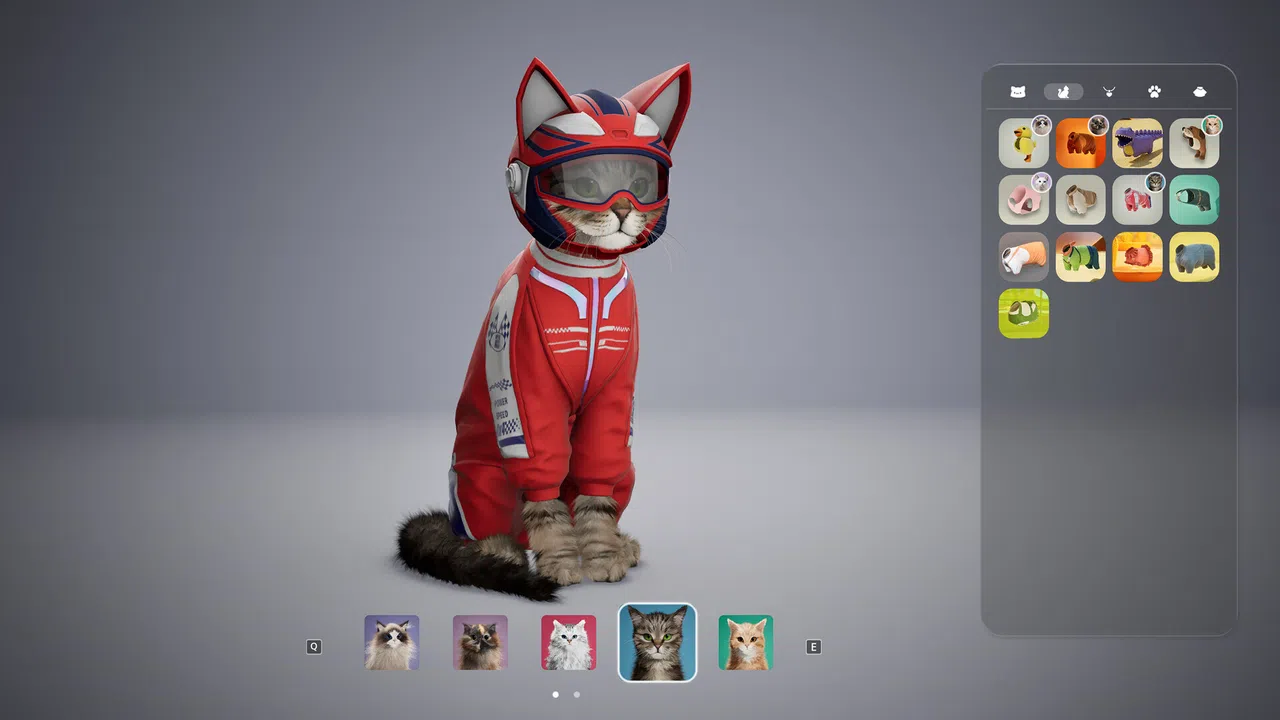 Catly Screenshot 10