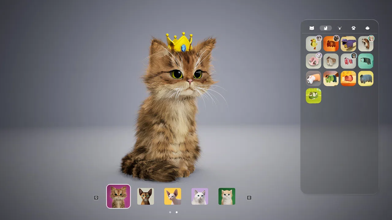 Catly Screenshot 9