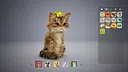Catly Screenshot 9