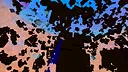 CLOUDOME: Prototype Screenshot 10